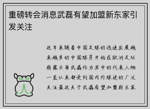 重磅转会消息武磊有望加盟新东家引发关注 重磅转会消息武磊有望加盟新东家引发关注